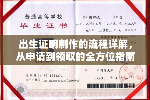 蒲城出生证明制作的流程详解，从申请到领取的全方位指南